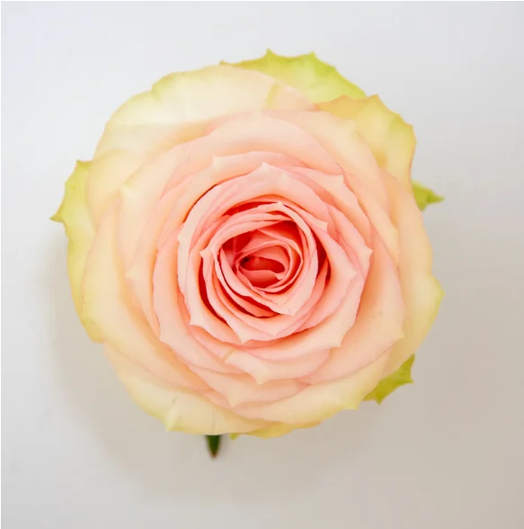 Wedding Centerpiece Mix